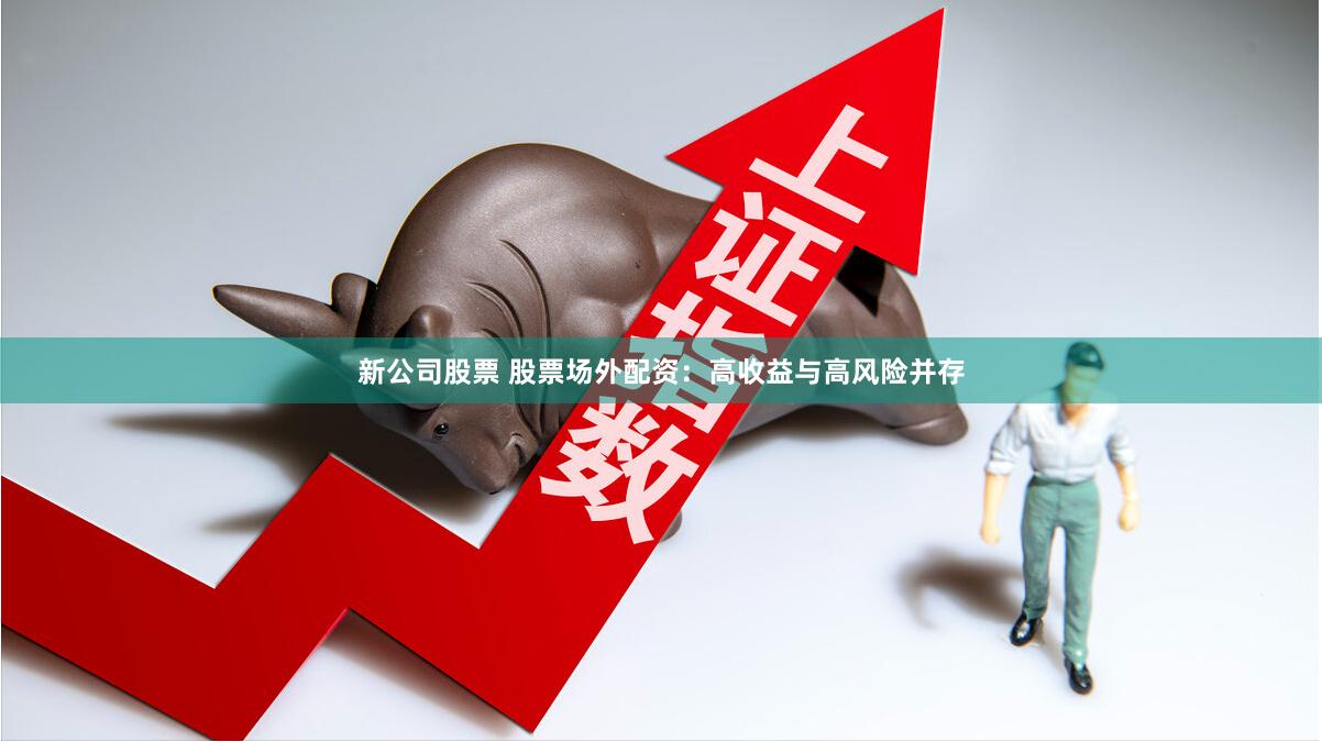 新公司股票 股票场外配资：高收益与高风险并存