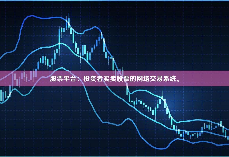 股票平台：投资者买卖股票的网络交易系统。